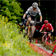 Opona VITTORIA Torrente XC Race