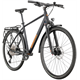 Rower trekkingowy WINORA Domingo 12 Pro