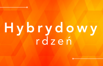 Hybrydowy rdzeń