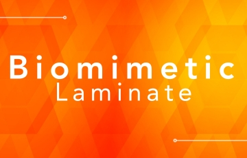 Biomimetic Laminate